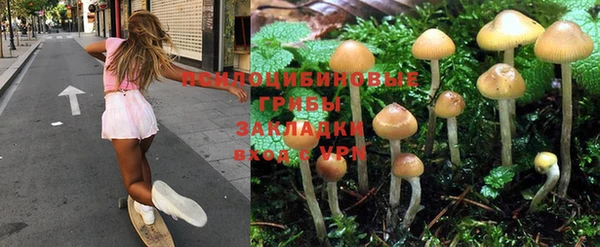 a pvp Балахна