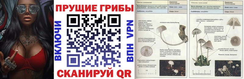 Галлюциногенные грибы Psilocybine cubensis  Чудово 